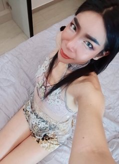 Mira - Transsexual escort in Al Manama Photo 11 of 15