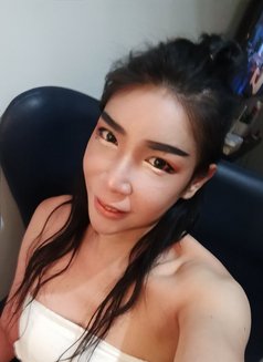 Mira - Transsexual escort in Al Manama Photo 12 of 15