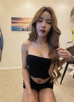 Mira🪽 - Transsexual escort in Jeddah Photo 8 of 19