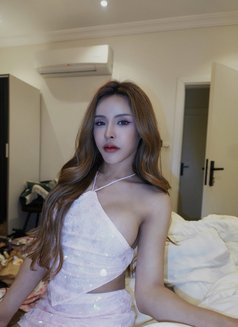 Mira🪽 - Transsexual escort in Jeddah Photo 13 of 13