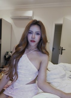 Mira🪽 - Transsexual escort in Jeddah Photo 14 of 19