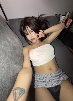 Mira🪽 - Transsexual escort in Jeddah Photo 2 of 14