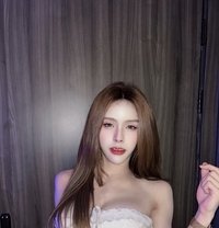 Mira 🇹🇭 - Transsexual escort in Khobar