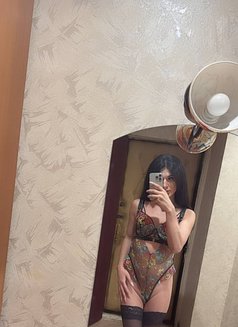 Mira Turkish - Transsexual escort in Doha Photo 9 of 9