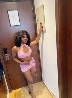 Miraj - puta in Beirut Photo 5 of 6