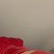 Lisa - escort in Alexandria