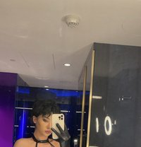 ⚜️ MIRANDA CHACHA ⚜️ - Transsexual escort in Abu Dhabi