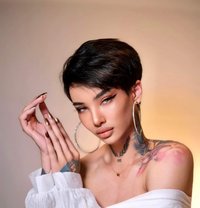 ⚜️ MIRANDA CHACHA ⚜️ - Transsexual escort in Abu Dhabi