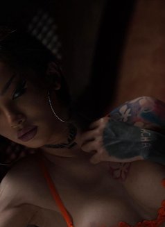 ⚜️ MIRANDA CHACHA ⚜️ - Transsexual escort in Dubai Photo 8 of 26