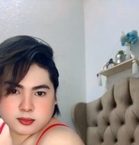 Erica Mei - Transsexual escort in Angeles City