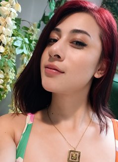 Miranda - Transsexual escort in New Delhi Photo 29 of 29