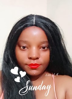 Miranda New Arrival - escort in Candolim, Goa Photo 3 of 4