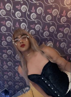 MIRANDA LATINA BABY BIG COCK - Transsexual escort in Doha Photo 4 of 4