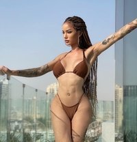 ⚜️MIRANDA⚜️ - Transsexual escort in Abu Dhabi