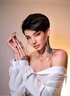 ⚜️MIRANDA⚜️ - Transsexual escort in Dubai Photo 11 of 17