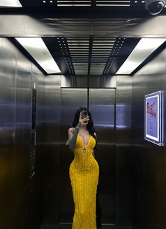 ⚜️ Miranda ⚜️ - Acompañantes transexual in Abu Dhabi Photo 8 of 16