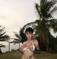 ⚜️ Miranda ⚜️ - Transsexual escort in Dubai
