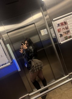 Miray - Transsexual escort in İstanbul Photo 26 of 27