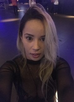 Mirella - companion in São Paulo Photo 1 of 5