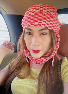 Miriam - Transsexual escort in Sharjah Photo 3 of 4