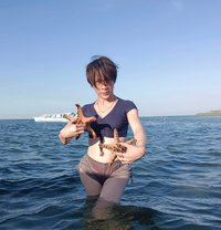 Miriam - Acompañantes transexual in Sharjah