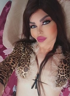 Mirna - Transsexual escort in Beirut Photo 2 of 6