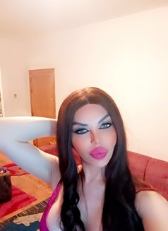 Mirna - Transsexual escort in Beirut Photo 6 of 6