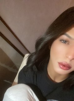 Miro doha now 🥰 - Male escort in Doha Photo 6 of 6