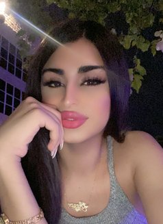 Miro - Transsexual escort in Beirut Photo 4 of 4
