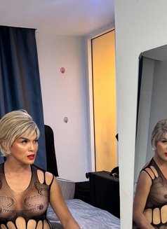 Mis Velena X Arrived - Transsexual escort in Bangkok Photo 5 of 8