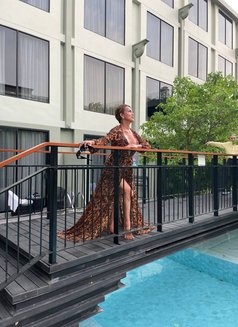 Mis Velena X Arrived - Transsexual escort in Bangkok Photo 12 of 13