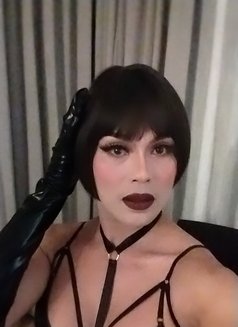 Mis Velena X Arrived - Transsexual escort in Bangkok Photo 4 of 21