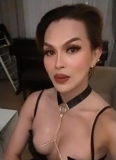 Mis Velena X Arrived - Transsexual escort in Bangkok Photo 8 of 21