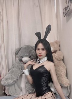 Misa - escort in Doha Photo 2 of 12