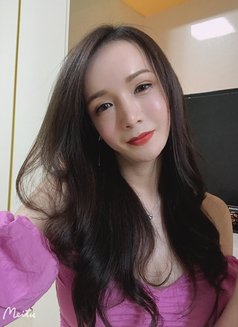 Misaki in Chiang Mai - Transsexual escort in Chiang Mai Photo 20 of 20