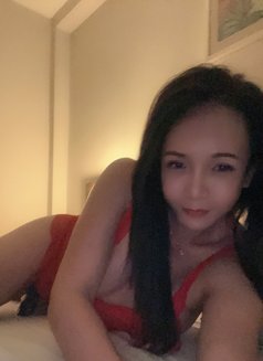 Misaki🇹🇭 Chiang Mai TOP FUCK HARD - Transsexual escort in Chiang Mai Photo 23 of 23