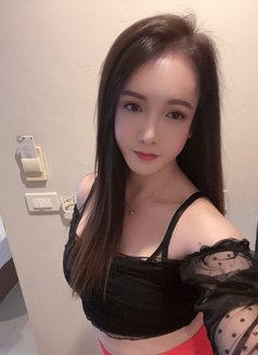 Misaki TOP FUCK HARD That's feels amazin - Acompañantes transexual in Chiang Mai Photo 19 of 19