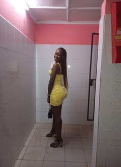 Mish - escort in Dubai Photo 1 of 2