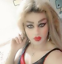 Misha Al3sal - Transsexual escort agency in Beirut