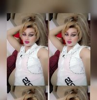 Misha Al3sal - Transsexual escort agency in Beirut