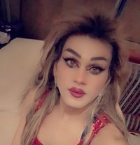Misha Al3sal - Transsexual escort agency in Beirut
