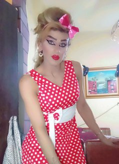 Misha Al3sal - Transsexual escort agency in Beirut Photo 29 of 30