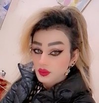 Misha Al3sal - Transsexual escort in Beirut