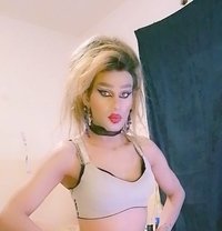 Misha Al3sal - Transsexual escort in Beirut