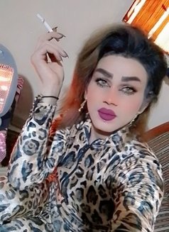 Misha Al3sal - Transsexual escort agency in Beirut Photo 4 of 23