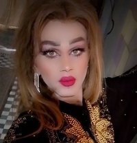 Misha Al3sal - Transsexual escort in Beirut