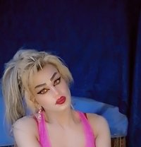 Misha Al3sal - Transsexual escort agency in Beirut