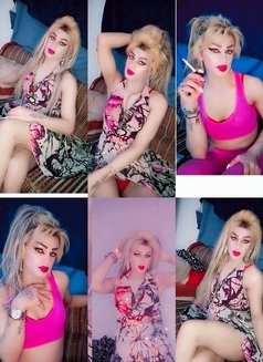 Misha Al3sal - Agencia de acompañantes transexuales in Beirut Photo 14 of 23