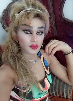 Misha Al3sal - Agencia de acompañantes transexuales in Beirut Photo 23 of 27