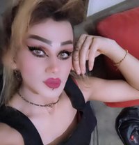 Misha Al3sal - Agencia de acompañantes transexuales in Beirut